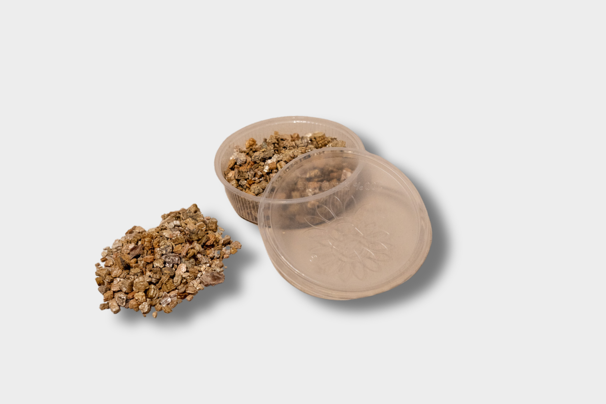 Mica Gold